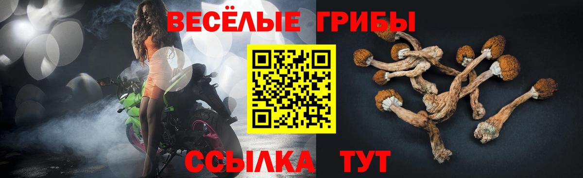Псилоцибиновые грибы MAGIC MUSHROOMS Югорск